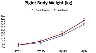 The Effects of Feeding Antibiotic on the Intestinal Microbiota of Weanling Pigs